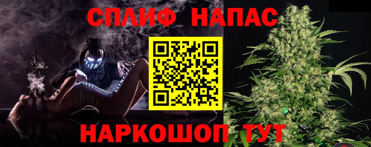 Марихуана сатива  Канабис план  Дубна  Вход с VPN  Бошки марихуана конопля 